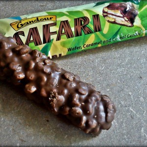 ويفر غندور سفاري كراميل 22 غ