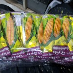 عيدان ذره ٥٠ حبه