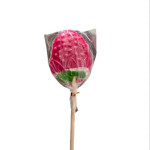 مصاص فراوله كبير ٦٠ غ