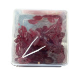 جيلي حلاو  ١ كيلو