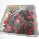 جيلي درام توت احمر واسود صغير 1000غ