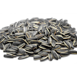 حب شمسى مالح 500غ